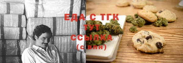стаф Ельня