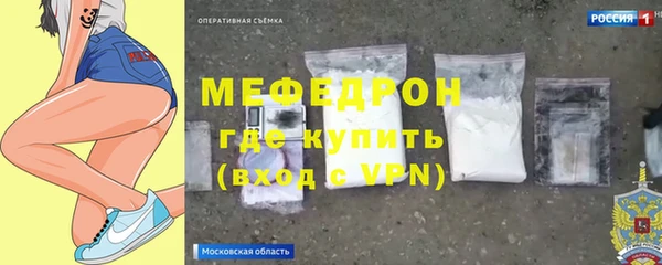 стаф Ельня