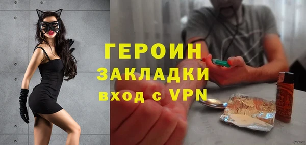 стаф Ельня