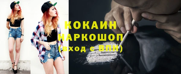 стаф Ельня
