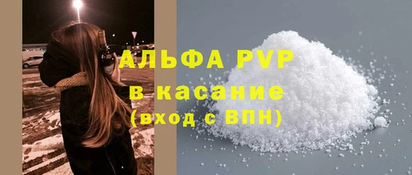 стаф Ельня