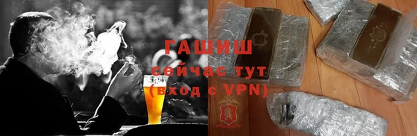 стаф Ельня