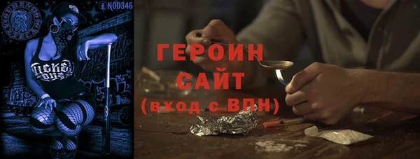 стаф Ельня