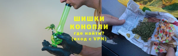 стаф Ельня
