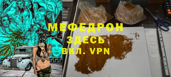 стаф Ельня