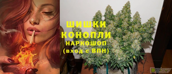 стаф Ельня
