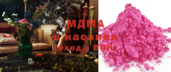 стаф Ельня