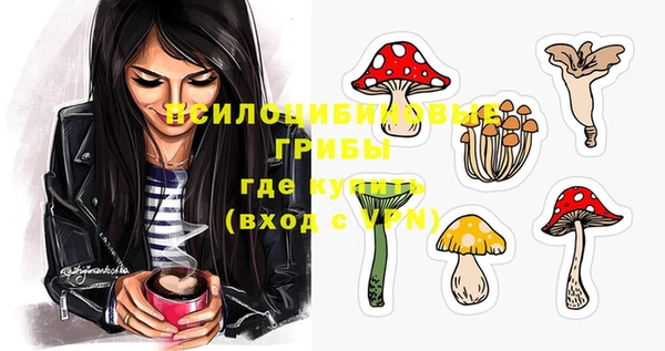 тгк Заводоуковск