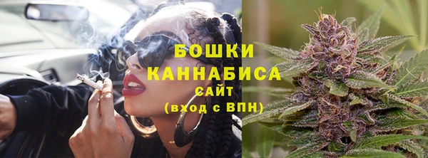 стаф Ельня