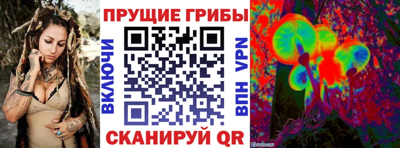 Купить закладки  Комсомольск-на-Амуре  Псилоцибиновые грибы GOLDEN TEACHER 