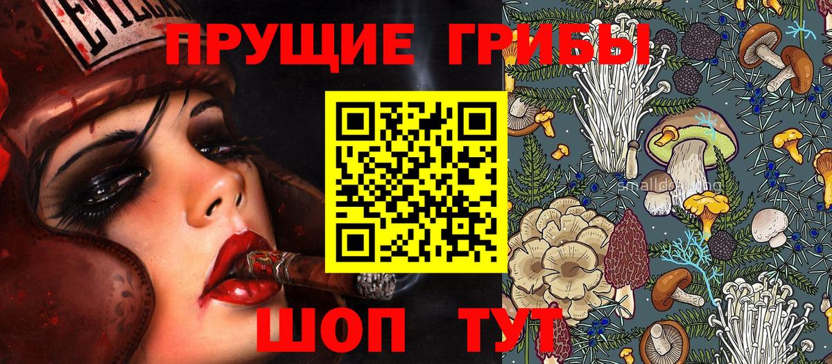 Галлюциногенные грибы Psilocybe  Вход с VPN  Комсомольск-на-Амуре 